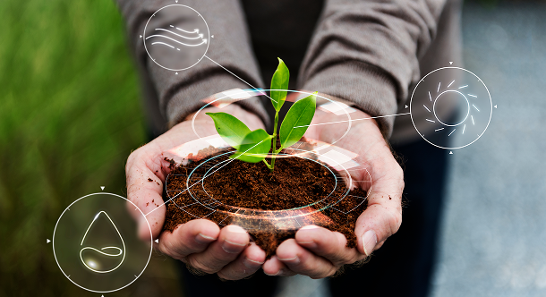Sustainability
